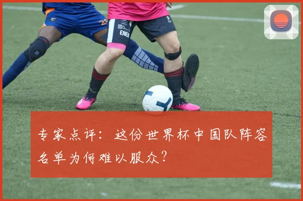 专家点评：这份世界杯中国队阵容名单为何难以服众？