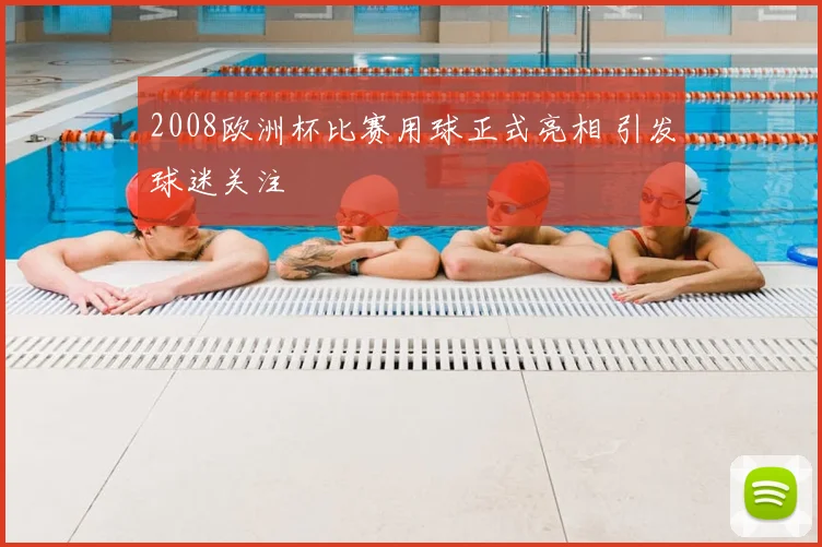 2008欧洲杯比赛用球正式亮相 引发球迷关注