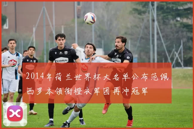 2014年荷兰世界杯大名单公布范佩西罗本领衔橙衣军团再冲冠军