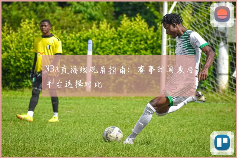 NBA直播线观看指南：赛事时间表与平台选择对比