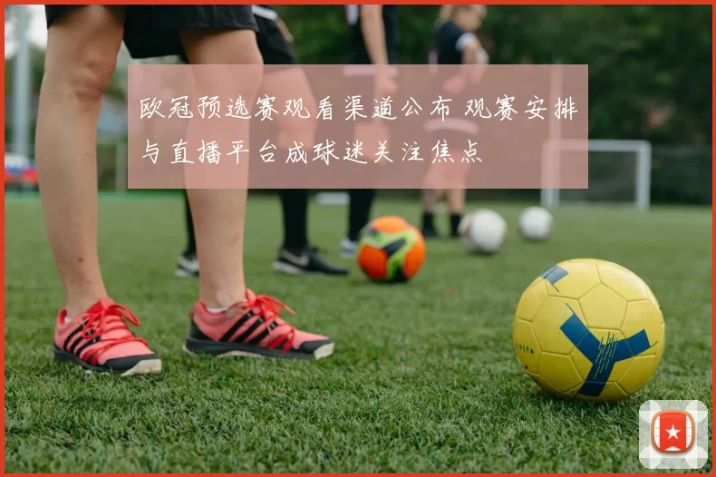 欧冠预选赛观看渠道公布 观赛安排与直播平台成球迷关注焦点